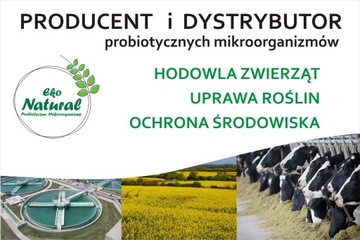 ПРОБИОТИК ДЛЯ ГОЛУБЕЙ 5Л