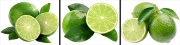 Naklejki dekoracyjne na ścianę DS 30x120cm owoce limonka