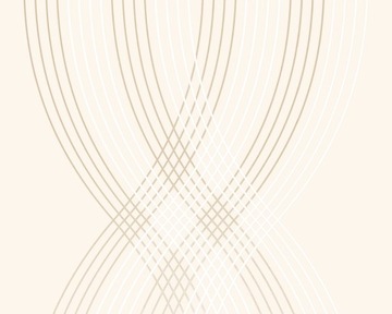TAPETA NA FLIZELINIE 2558-60 FLOCK GEOMETRIA