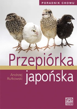 Przepiórka japońska hodowla chów przepiórki