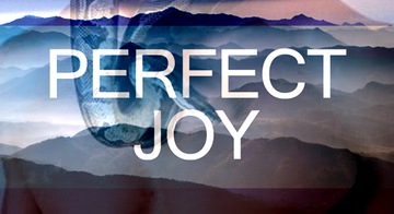 Fenzi Perfect Joy 100 мл парфюмированная вода