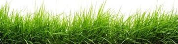 Удобрение Barenbrug Barfertile Start/Spring 5 кг