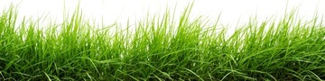 Barenbrug Regenerative Grass SOS Lawn 5 кг стадион с покрытием + инструкция