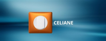 LEGRAND CELIANE Розетка с крышкой 2P+Z IP21 БЕЛАЯ