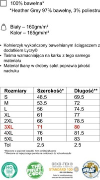 ФУТБОЛКА МУЖСКАЯ С СОБСТВЕННЫМ ПРИНТОМ 3XL