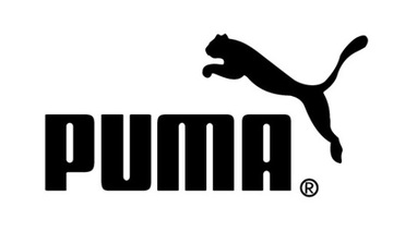 ФУТБОЛКА PUMA MAPF1 LOGO TEE MERCEDES AMG PETRONAS F1 TEAM M Футболка