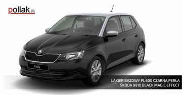 Базовое покрытие PEARL BLACK SKODA 9910 1Z L991 4L