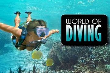 WORLD OF DIVING PC VR STEAM КЛЮЧ + БОНУС