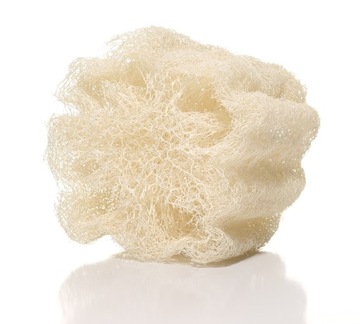 NATURALNA GĄBKA LUFFA PEELINGUJĄCA LOOFAH 12 cm