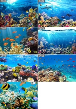 Plakat poster PSY KOTY ZWIERZĘTA 40x30 max wybór