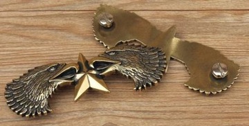 Голова орла со звездой, украшением, эмблемой орла