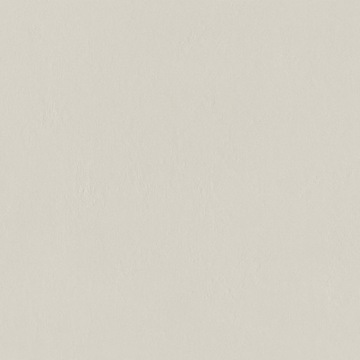 INDUSTRIO LIGHT GREY MAT R10 REK 60*60 G2 m2 zamów