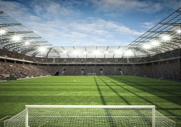 FOTOTAPETA WINYLOWA PIŁKA STADION BOISKO 254x184