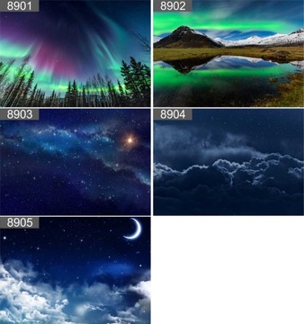 Плакат плаката Ночная звезда Аврора 40x30 Макс.