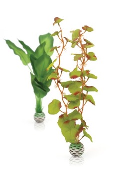 BIORB OASE ROŚLINY ZIELONE SILK PLANT 30 CM