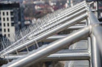 NIERDZEWNE KOLCE NA PTAKI GOŁĘBIE PRZECIW PTAKOM