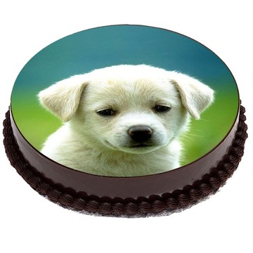 OPŁATEK NA TORT Pieski Psy Szczeniaki 20cm gruby