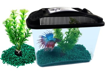 AQUAEL BETTA KIT АКВАРИУМ НАБОР АКВАРИУМ ДЛЯ БОЙЦОВЫХ РЫБ 3л В ПОДАРОК