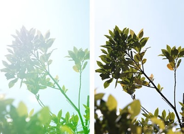 Sigma ART 18-35 mm f1.8 DC HSM Nikon БЕСТСЕЛЛЕР!