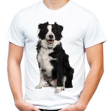 Koszulka męska z psem Collie pies t-shirt HQ -L