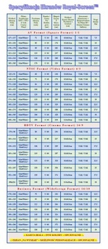 EKRAN PROJEKCYJNY ELEKTRYCZNY 220Cm 4:3 PILOT