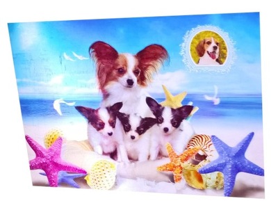 OBRAZEK 3D OBRAZKI PSY PIESKI OBRAZ 3 D 25 35