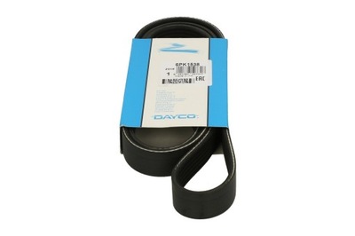 DAYCO PASEK WIELOKLINOWY 6PK1538 - milautoparts-fr.ukrlive.com