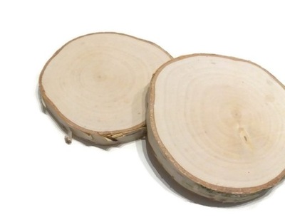 Plastry drewniane krążki drewna 17-20cm szlifowane