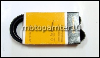 BELT WEDGE NISSAN PRIMERA ALMERA II PREVIA 00 - - milautoparts-fr.ukrlive.com