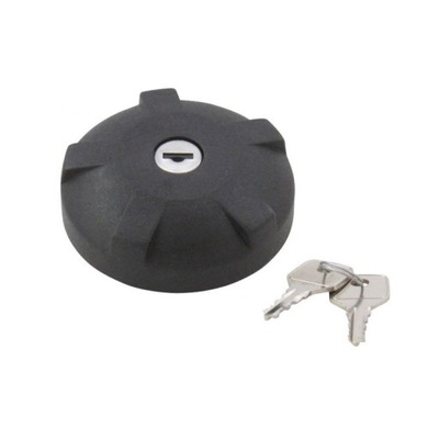 CAP FILLING FUEL RENAULT TWO KEYS NEW CONDITION ! ! ! - milautoparts-fr.ukrlive.com