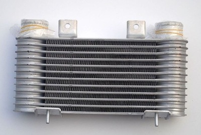 RADIATOR AIR (INTERCOOLER) SRLINE RANGER (INT); 98-06 3268J8-1 - milautoparts-fr.ukrlive.com