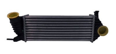 RADIATEUR D'AIR (INTERCOOLER) 6062J8-2 SRL - milautoparts-fr.ukrlive.com