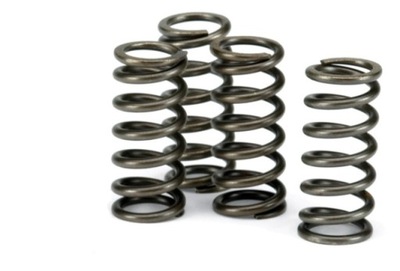 SPRING SPRZEGLOWE EBC (4 PC. IN ZESTAWIE) CSK115 - milautoparts-fr.ukrlive.com