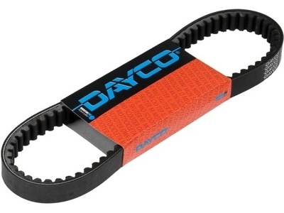 B9A07B_C GURTE DAYCO PASST DO: ARCTIC CAT ARCTIC Bild 2