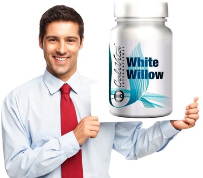 CALIVITA WHITE WILLOW 100 kaps KORA BIAŁEJ WIERZBY