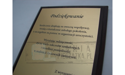 Нарядная награда, благодарственное письмо с гравировкой, 30х22.