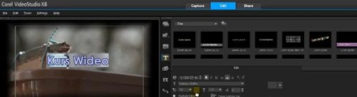 Видео Курс Corel VideoStudio x8 Motion Studio — ZIP