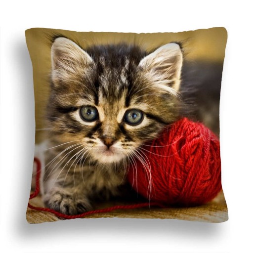 ПОДУШКА ДЛЯ КОШКИ 10 RED KITTEN HOME SKIN JASIEK