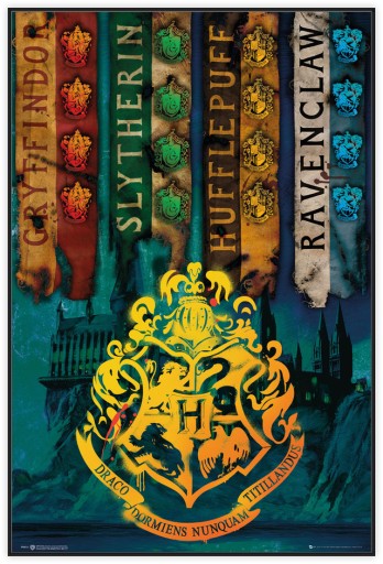 Harry Potter Flagi Domów - plakat 61x91,5 cm