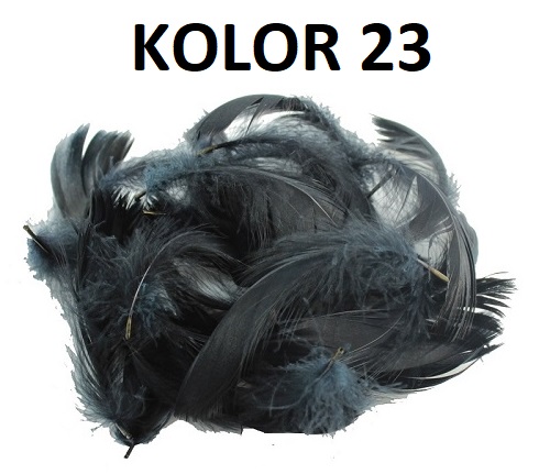 PIÓRA PIÓRKA MIX 25 SZT PIÓRO DEKORACYJNE 23xKOLOR