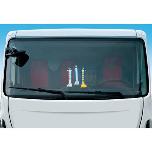 КУЛОН С ФЛАГОМ ЭСТОНИИ TIR BUS