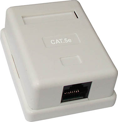 КОМПЬЮТЕРНАЯ РОЗЕТКА RJ45 Double cat 5e Быдгощ