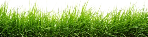 ТРАВА BARENBRUG ДЛЯ РЕГЕНЕРАЦИИ 5 КГ SOS LAWN REPAIR ТРАВА ДЛЯ БЫСТРОЙ РЕГЕНЕРАЦИИ