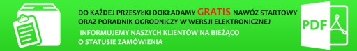 ХЕДЕЛЬФИНСКА колонновидная вишня - № 232а.