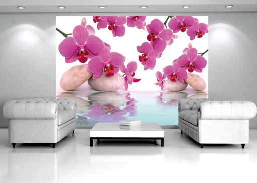 FOTOTAPETA ORCHIDEE KAMIENIE 9D V8 368x254 F151