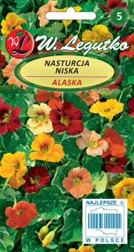 Nasturcja ALASKA Nasiona Legutko 3g