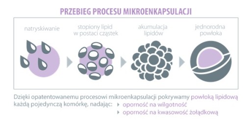 Aliness ProbioBalance IBS Probiotyk ZDROWE JELITA