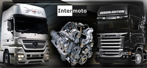 ПРЕОБРАЗОВАТЕЛЬ MAGNUM RENAULT PREMIUM DXI 5010589393