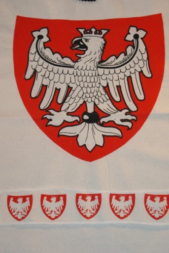 Рыцарский комплект туника с капюшоном меч 57 щит