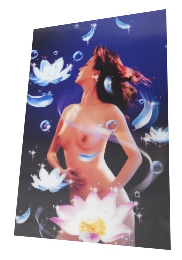 OBRAZ 3D OBRAZKI SEXY AKT KOBIETA KWIATY 3 D 20 30